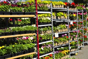 blomstervogne